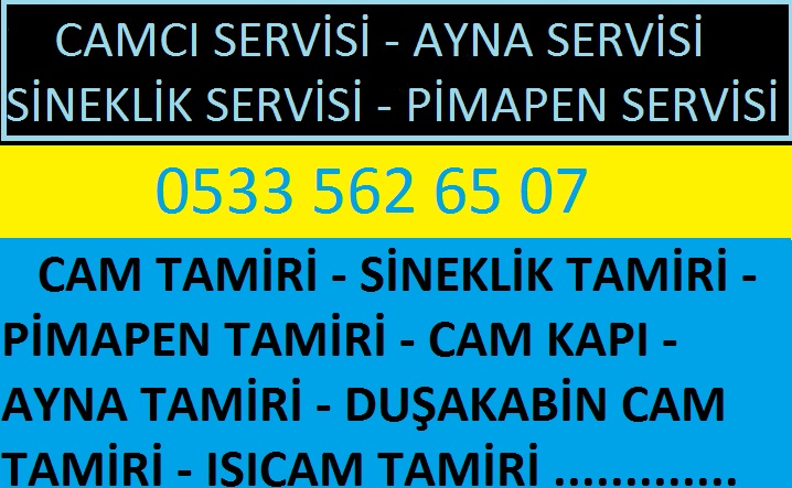 64736715_418852715629582_5309566823333625856_n